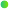 Decorative Shape 5